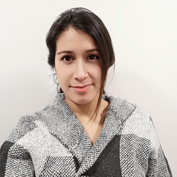 SERVICIOS INDUSTRIALES Y OBRAS CIVILES